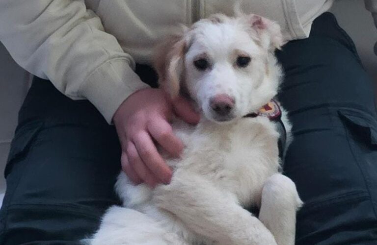 inbound2227073141111640561