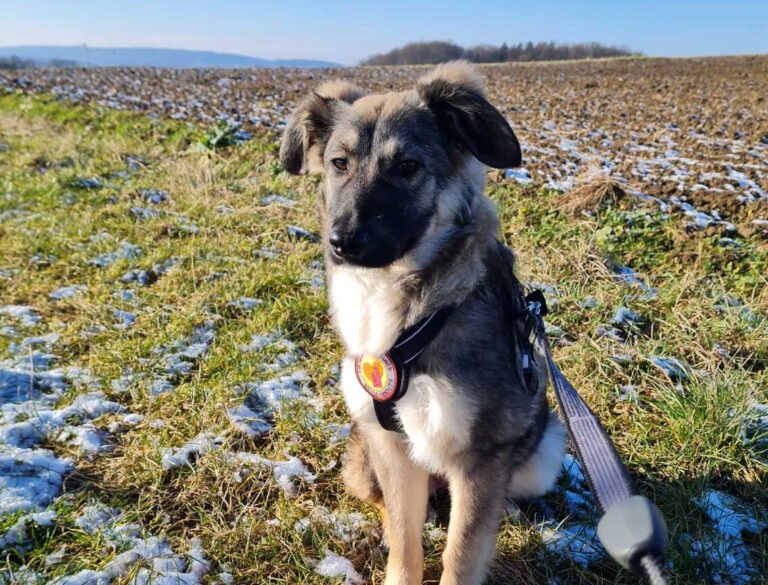 inbound3769263249969504456