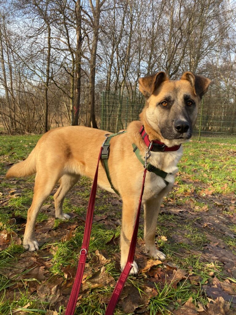 inbound6220460263410830876