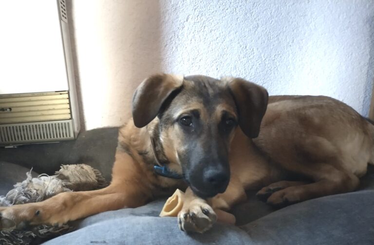 0bd1b4bc-e744-48b8-b938-e39fd32c4e7d