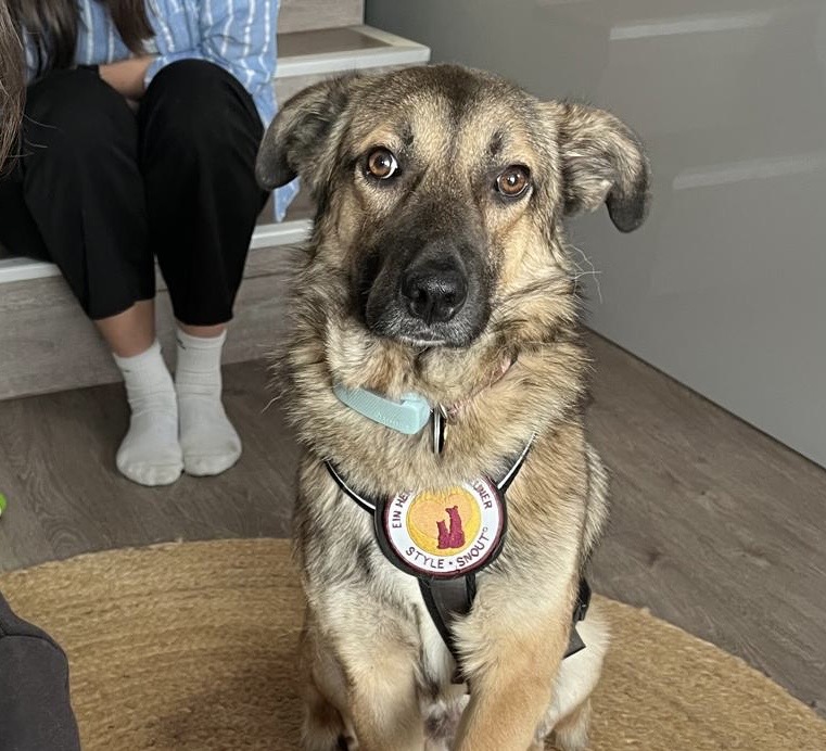 1a90e20b-d714-47f1-bf8c-fc1ffb367cd1