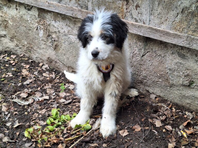 24ad5fc9-08ab-40f0-8ca2-507cc41688c1