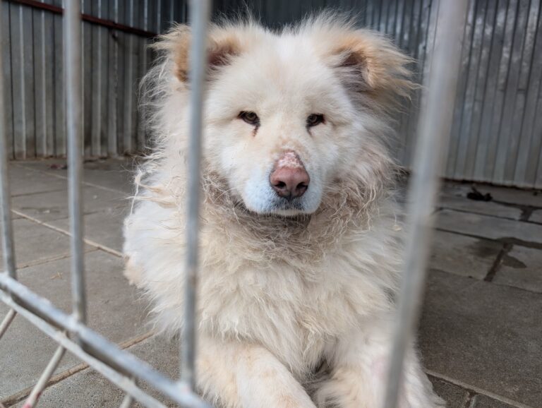 33f7b54c-ca0c-472a-ade7-59f4e66da71d