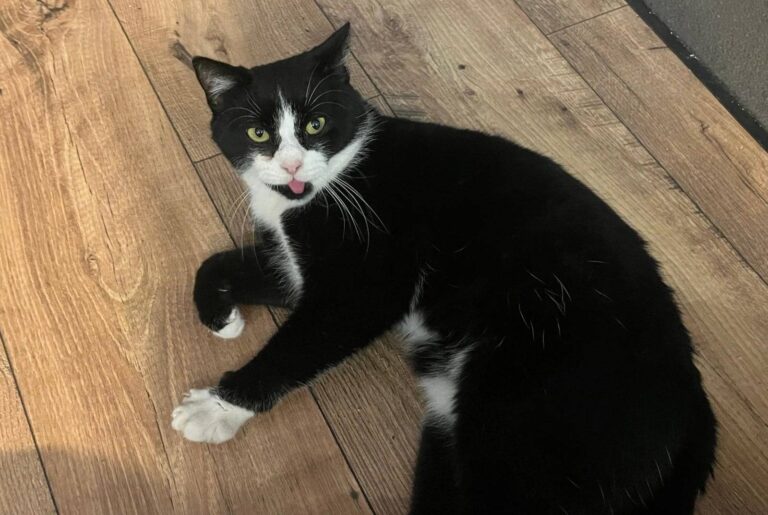 603853213_26025429867064098_8958959740292406959_n