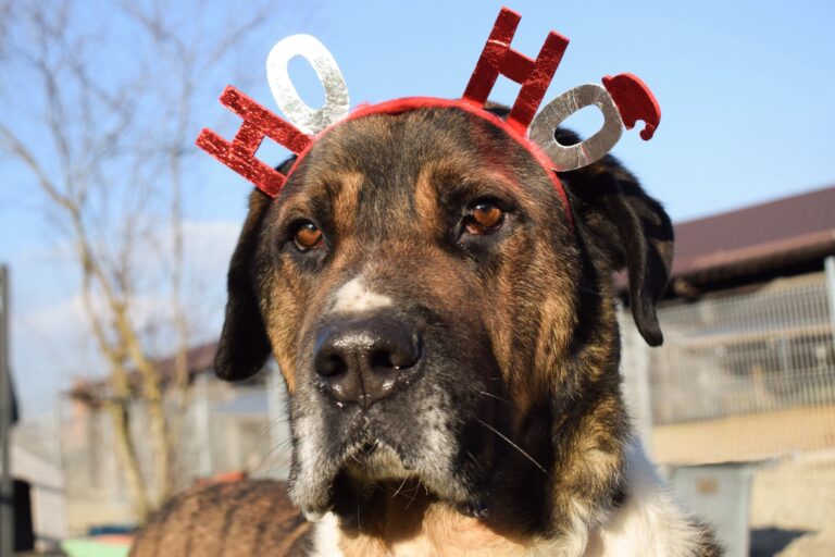 606106477_885611693856793_7899807101132401202_n