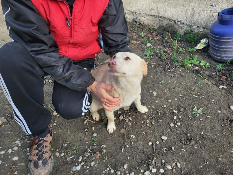 608736058_24675125638829485_3933677362446790248_n