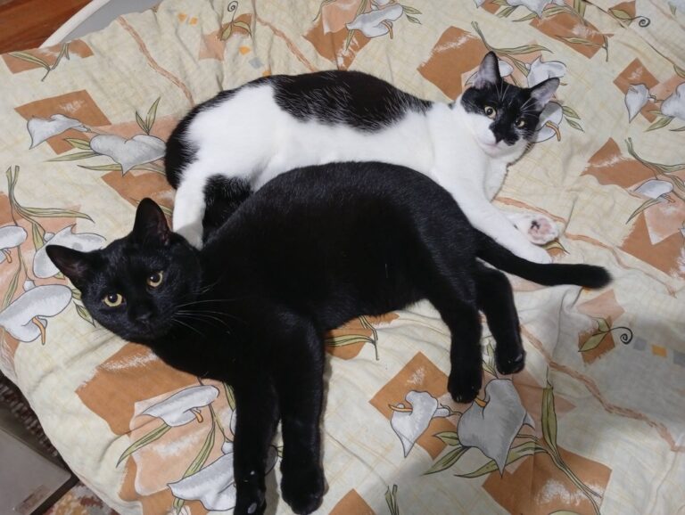 615777887_26046296818307939_6093242640106243815_n