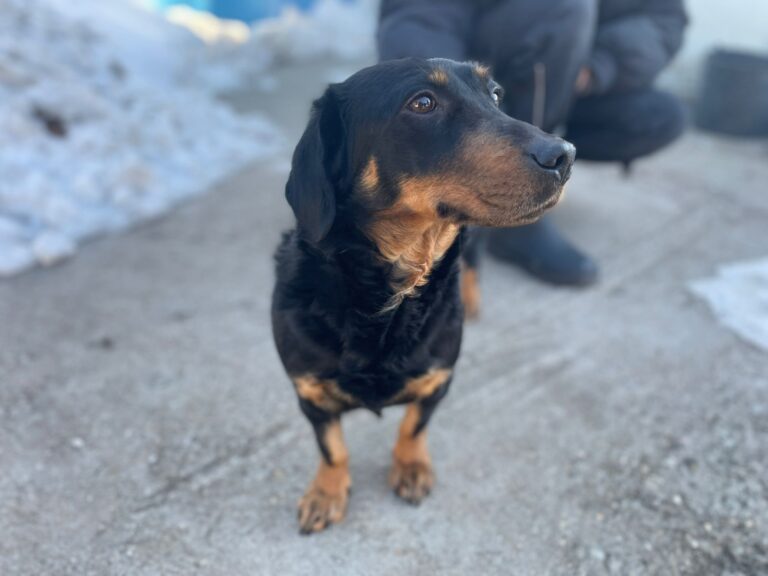 615811472_122118255873012423_8359193469973185719_n