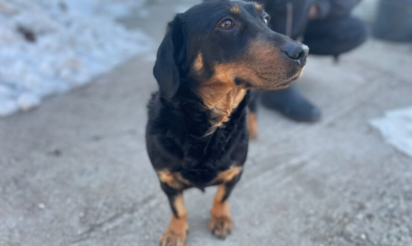 KARLA – reserviert