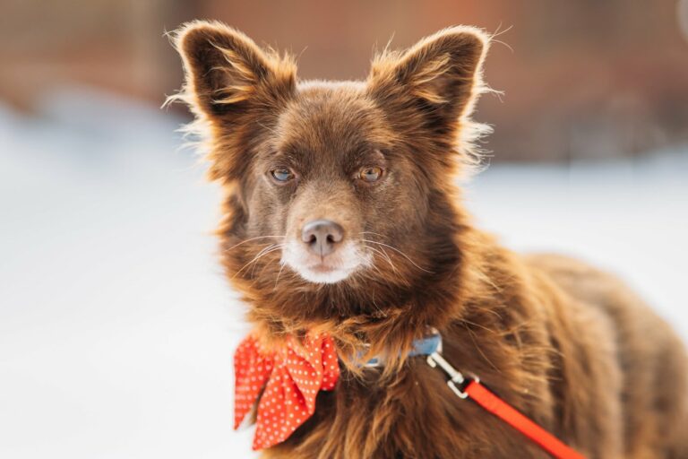 615821439_26130589786538950_2873383681700318854_n