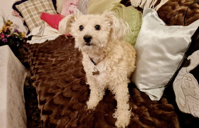 615897447_2921902338003748_1827874686872432139_n