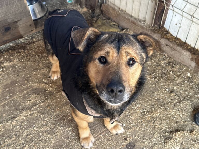 616293894_122118513843012423_6581787372026422898_n