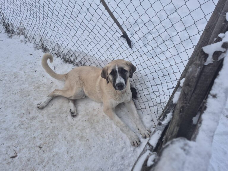 618980594_3383899018439050_7169663093957203058_n