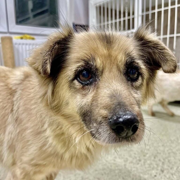 619120851_25553092254319322_3682922270664133559_n