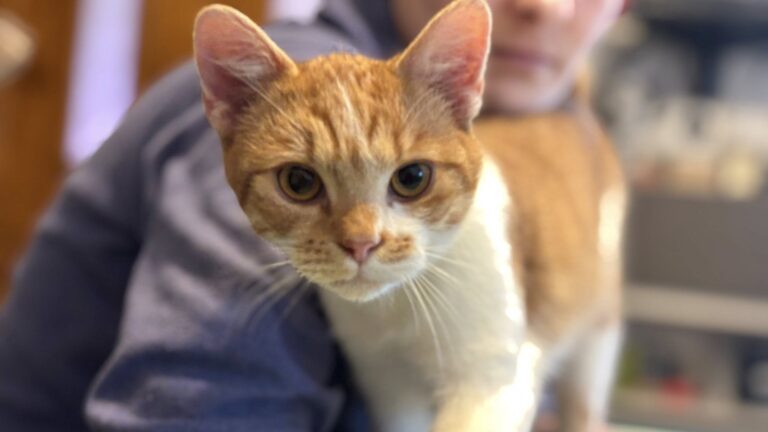 619605338_122227767950122691_6950901113930544740_n