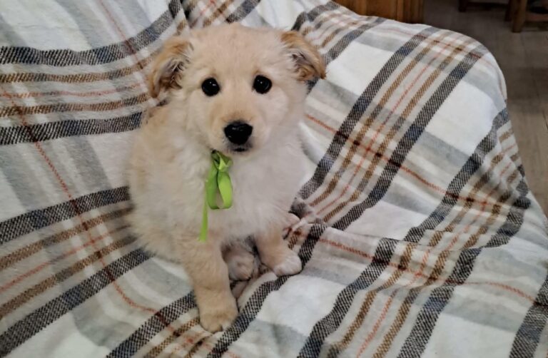 621722699_122159216822712445_4055897757507266262_n