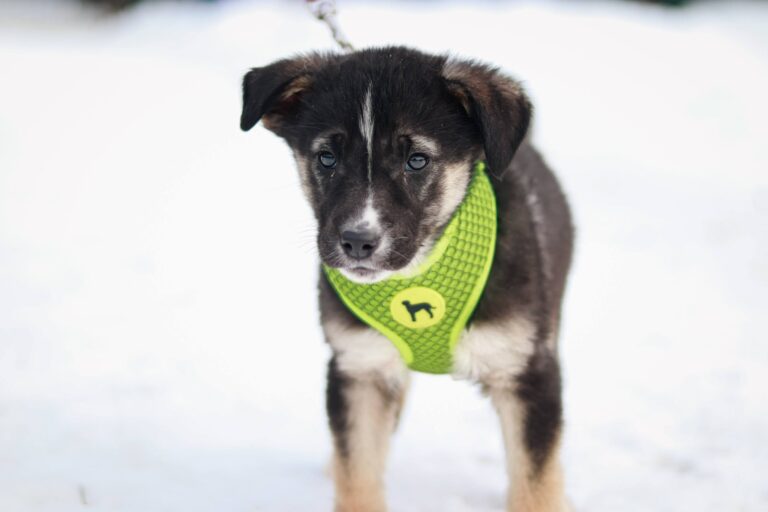 621816901_3242967405881373_1088773861571187614_n