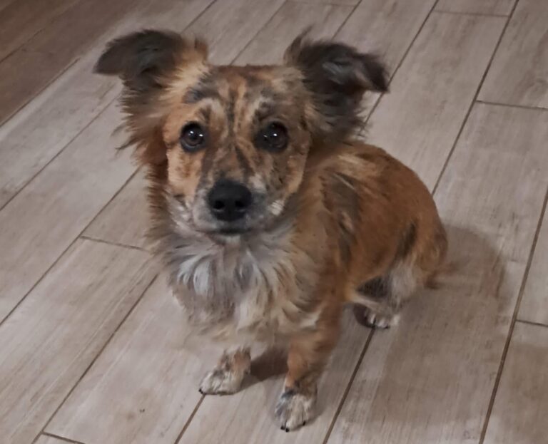 621843426_122159212880712445_1335379681992728049_n