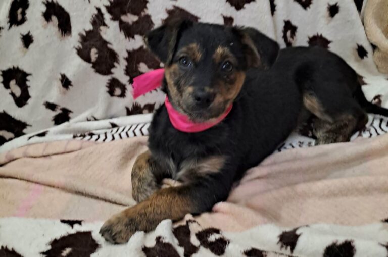 622376943_122159215520712445_7720836619831641068_n