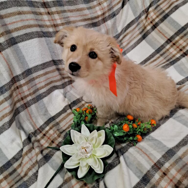 622393174_122159214506712445_4183353028472745397_n