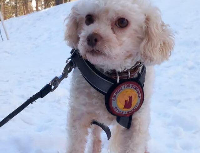 CURLY – reserviert