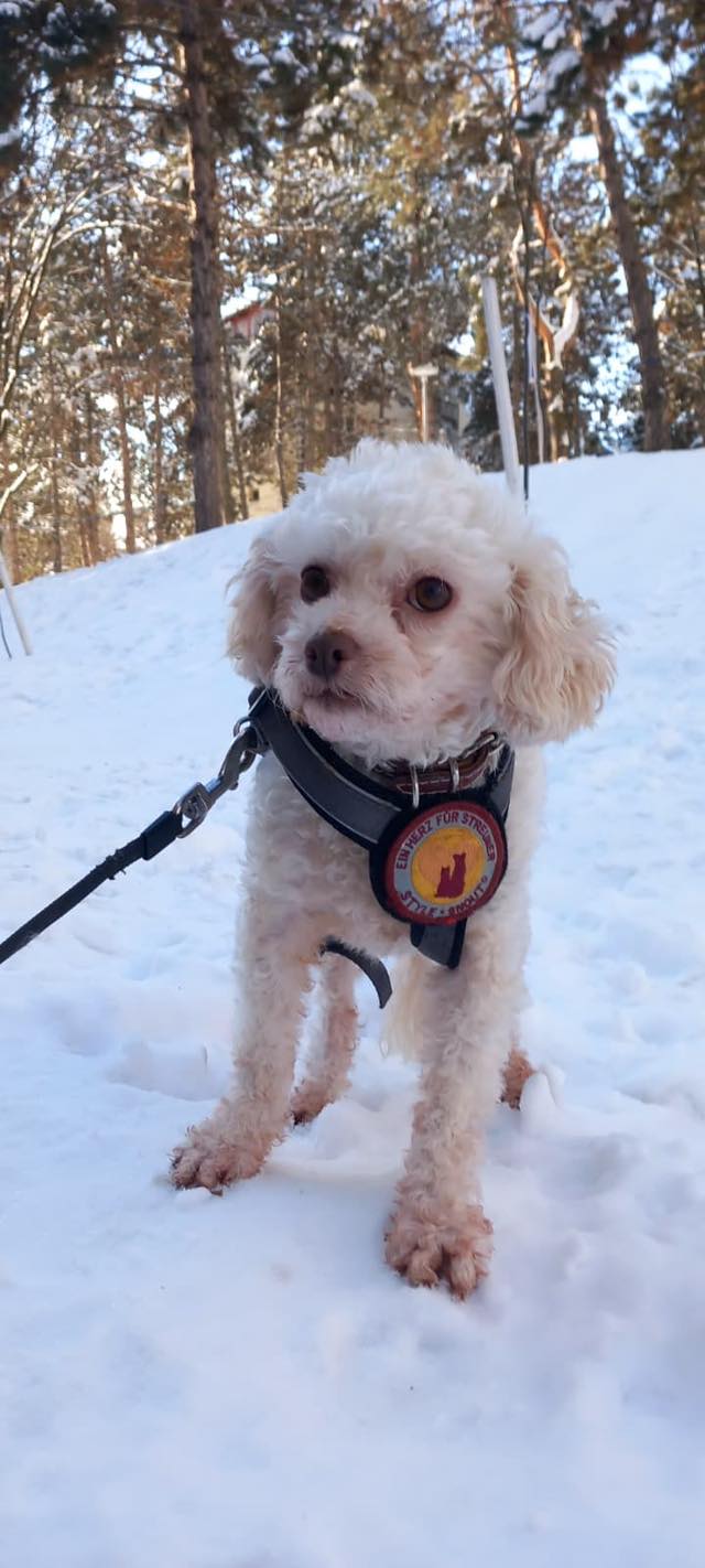 622503785_10241321918848869_7657428318249174526_n