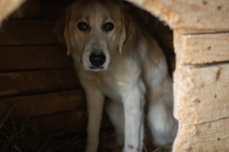 622748046_25684811171211295_737296528597535799_n