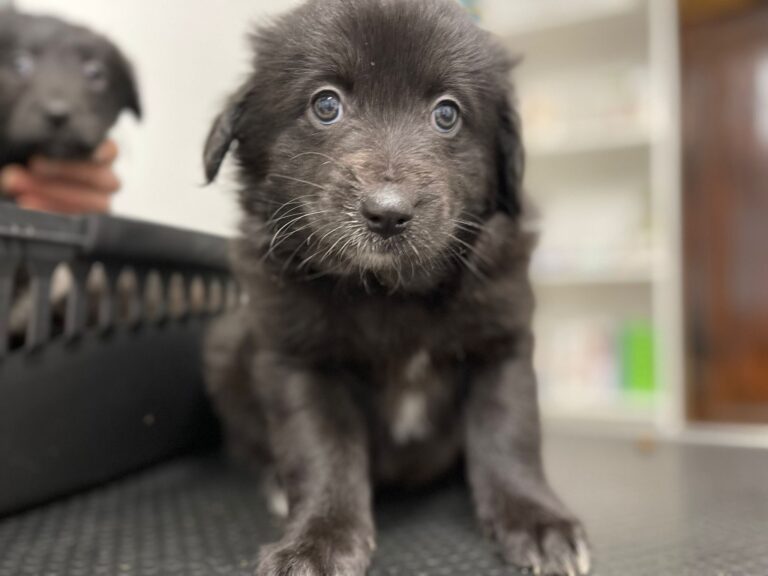 622789337_4184297835153353_3097157783118356001_n