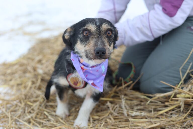 622806122_25684652227893856_7618201226337587336_n