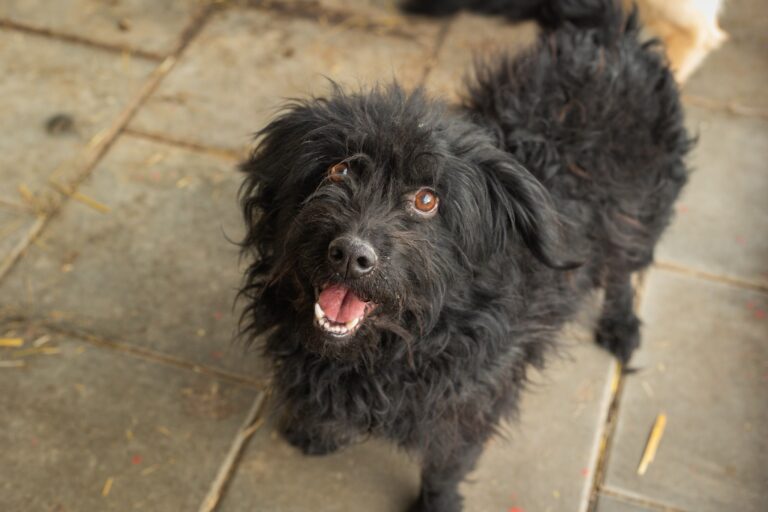 622806165_25684805057878573_5348275713700059115_n