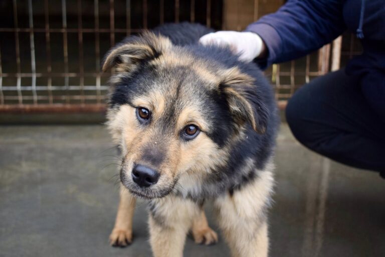 622816866_4186485418267928_8923777482166223973_n