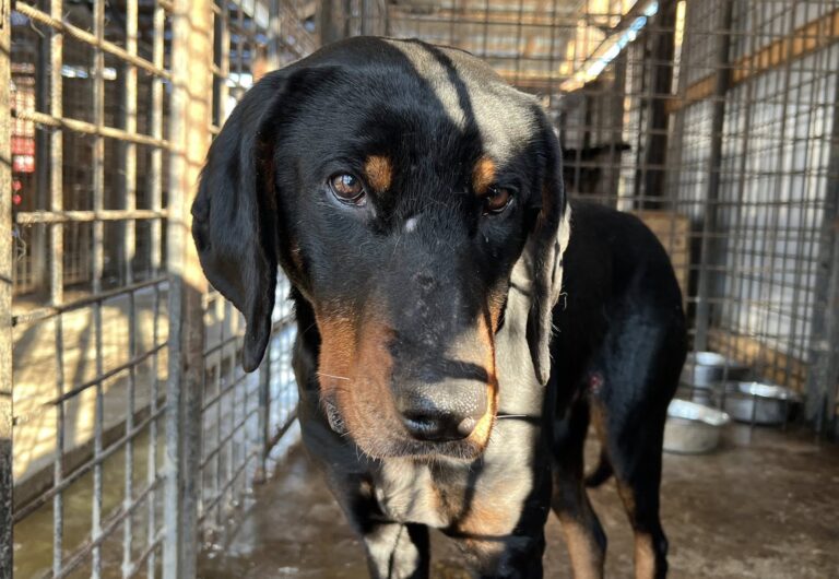 623175519_4186474464935690_6309971404982490526_n