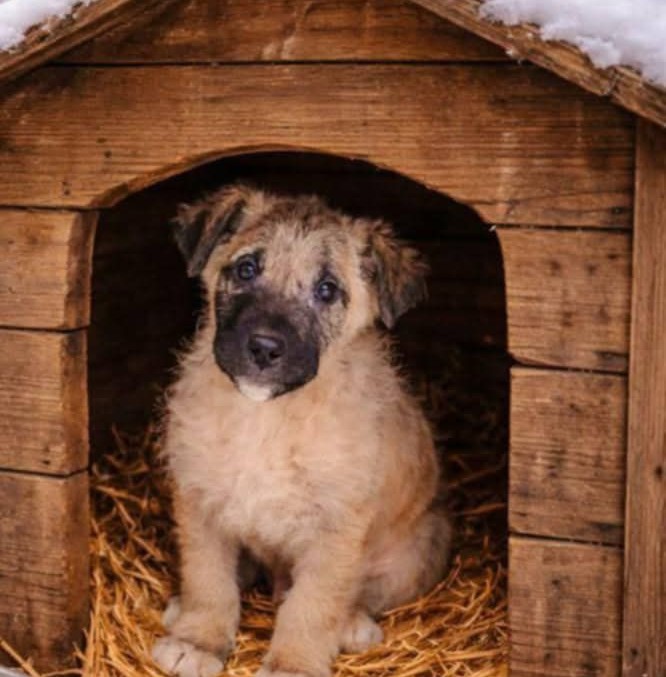 623261272_24905903812418332_261343821583484711_n