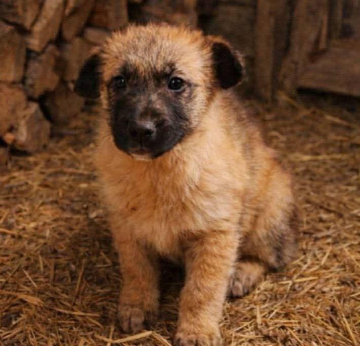 623292347_24905908629084517_3651149347552733670_n