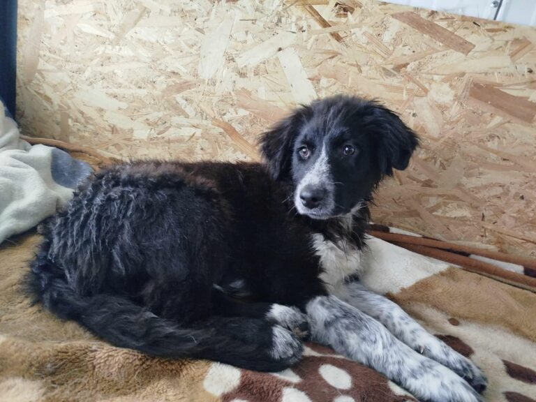 623432760_122159295770712445_6520205773616707228_n