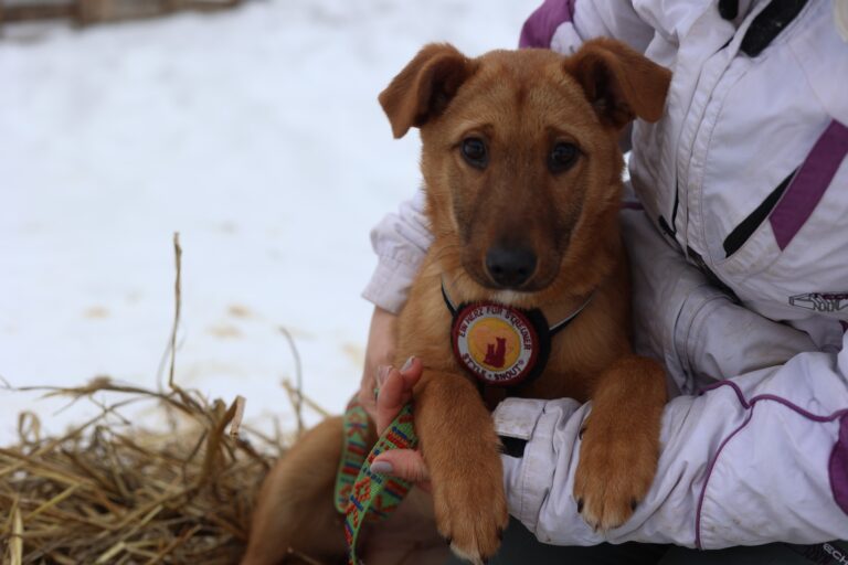 623528537_25684662827892796_1019635521099837444_n