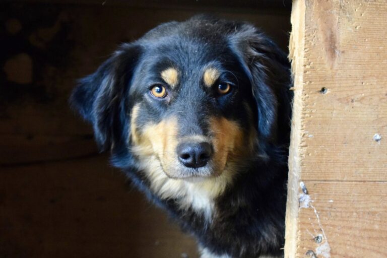 623785614_4186529924930144_8109975744794292395_n