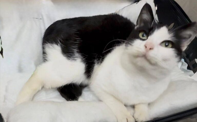 624696447_26365713436369071_3752099474756599394_n