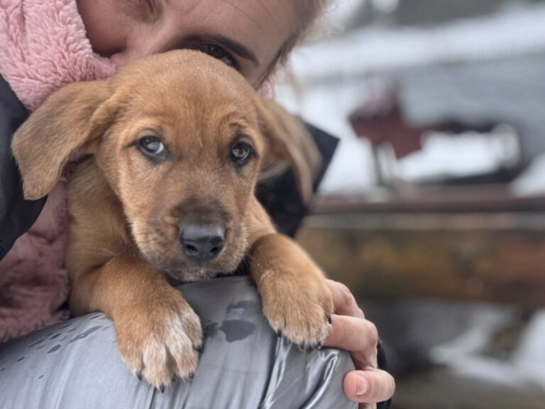 625015384_122228451356122691_1360554600302410018_n