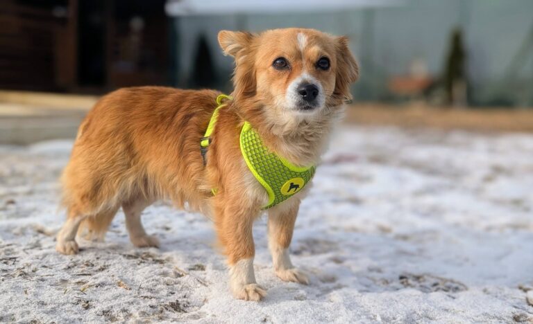 625490532_3383877011763022_4756772995895650551_n