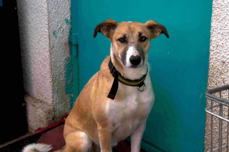 625843663_26690276270559350_7071821748682678771_n