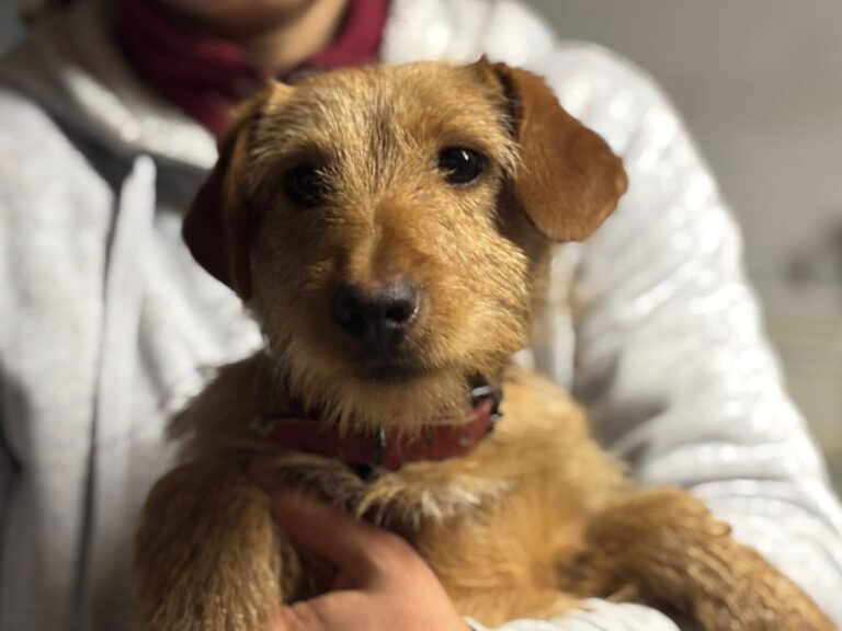 626431375_122228957654122691_3347279075943226325_n