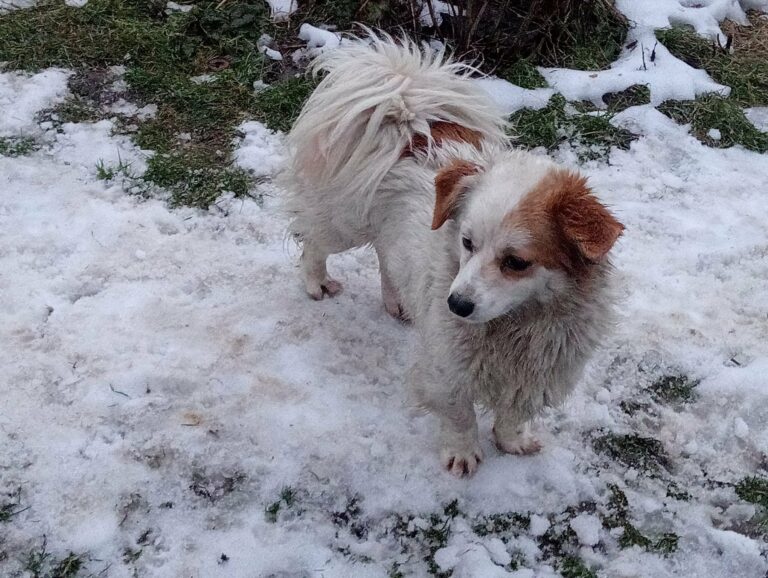 626433477_24940355925639787_6689818263457647134_n