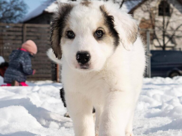 626651624_3395683567260595_3614892697573246372_n