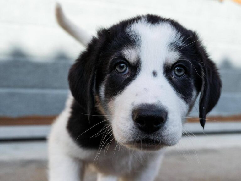 626715566_3395681020594183_7859579069221293183_n