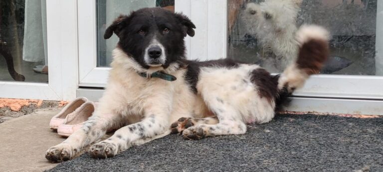 626738798_2105602213510857_4867207876475045928_n