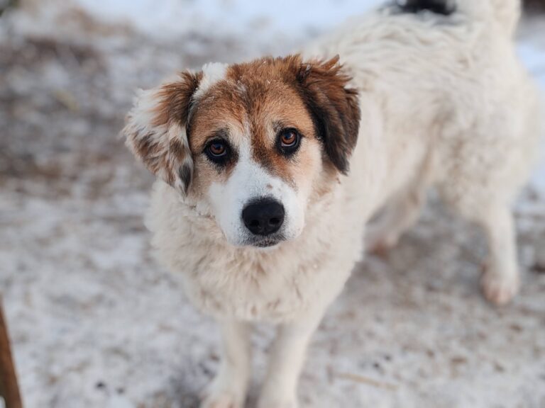 626807726_25921395097498064_3689339221056586165_n