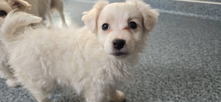 626925854_3401293453366273_7084991156862584591_n