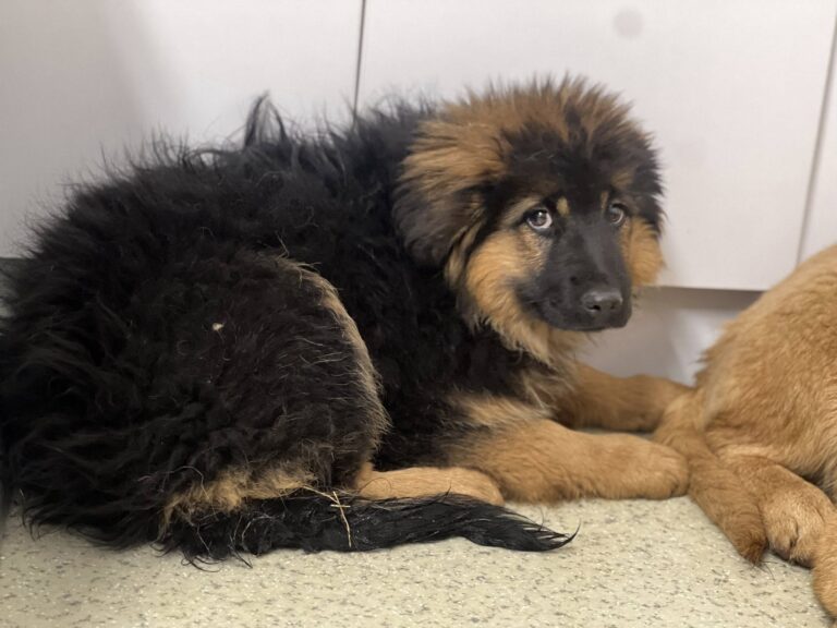 627126148_10161611570217581_4410233069080989240_n