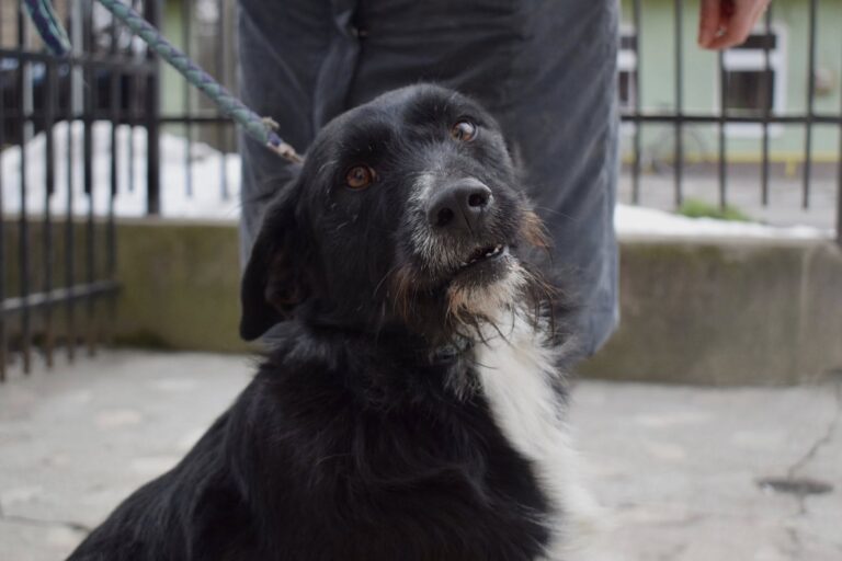 627486459_4192959810953822_1679698219444379994_n